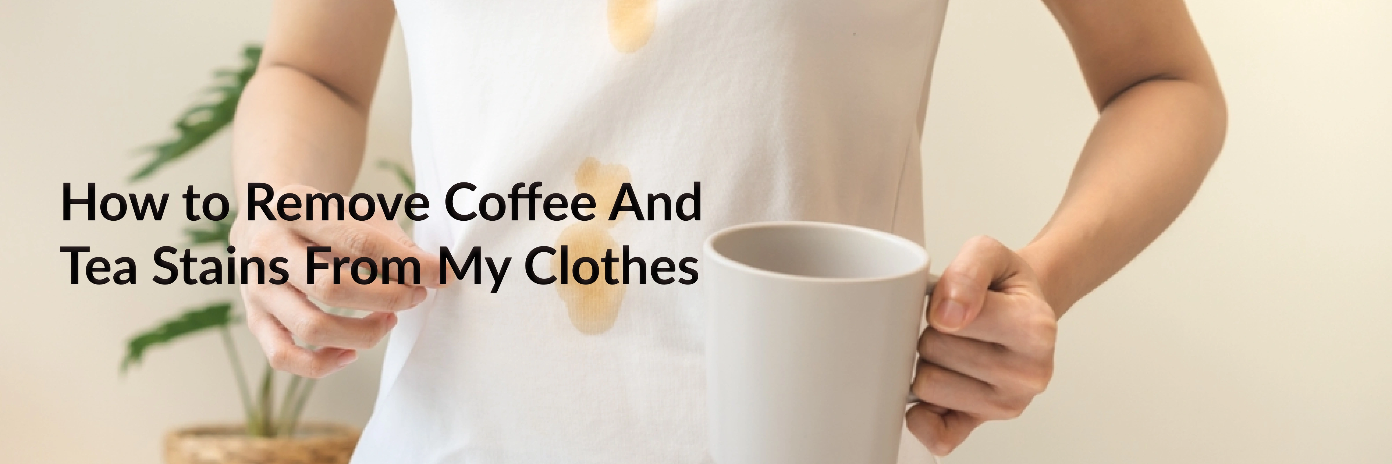 How to Remove Coffee And Tea Stains From My Clothes?